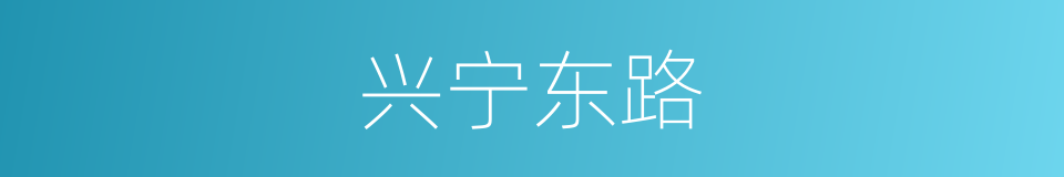 兴宁东路的同义词