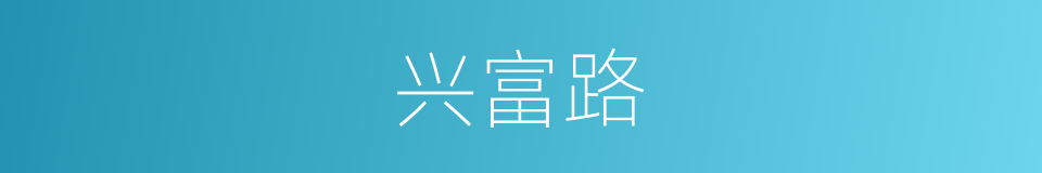 兴富路的同义词