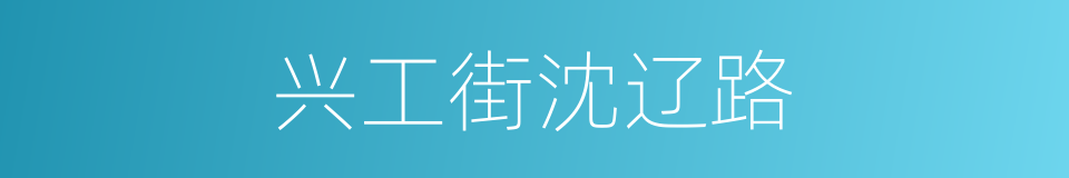 兴工街沈辽路的同义词