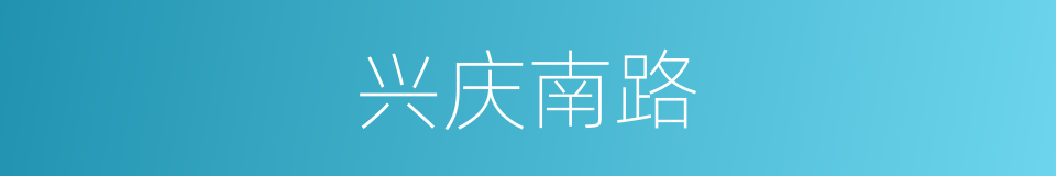 兴庆南路的同义词