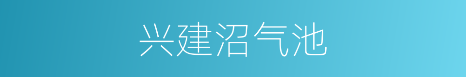 兴建沼气池的同义词