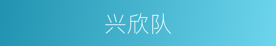 兴欣队的同义词