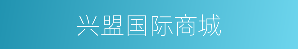 兴盟国际商城的同义词