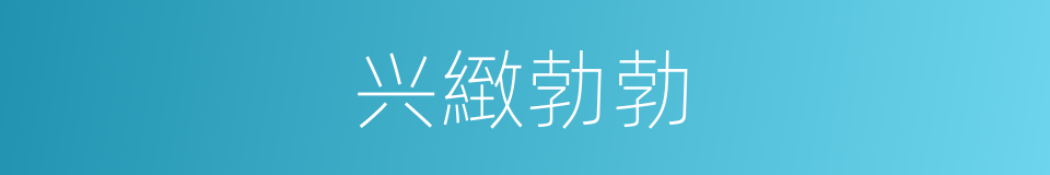 兴緻勃勃的同义词