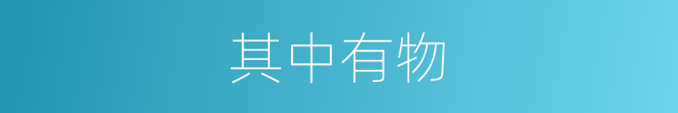 其中有物的同义词