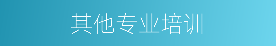 其他专业培训的同义词
