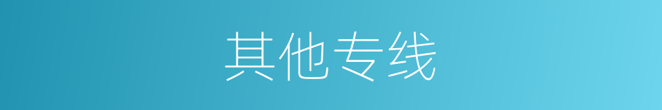 其他专线的同义词