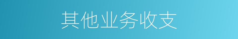其他业务收支的同义词