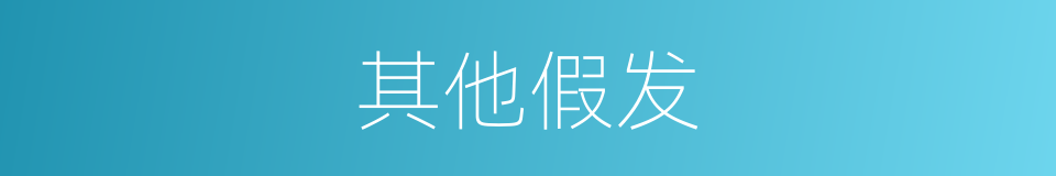 其他假发的同义词