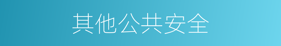 其他公共安全的同义词