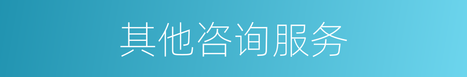 其他咨询服务的同义词