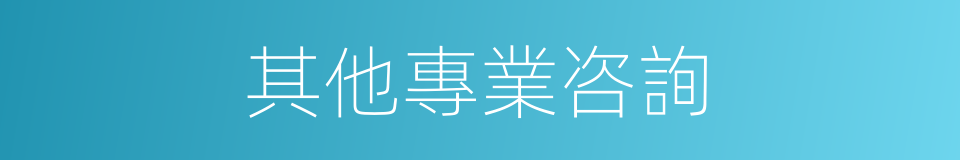 其他專業咨詢的同義詞