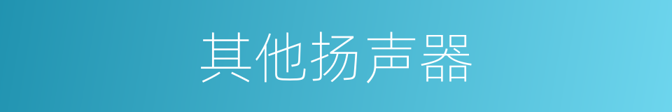 其他扬声器的同义词