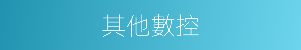 其他數控的同義詞