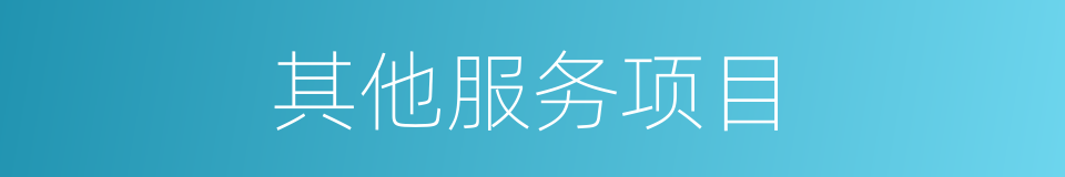 其他服务项目的同义词