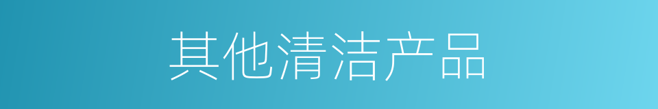 其他清洁产品的同义词