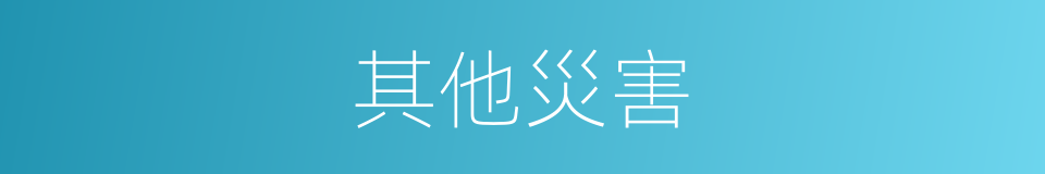 其他災害的同義詞