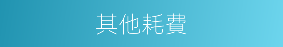 其他耗費的同義詞