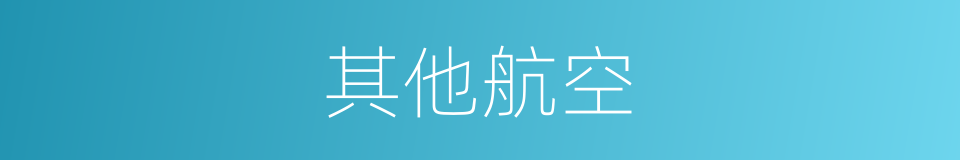 其他航空的同义词