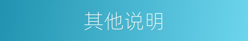 其他说明的同义词