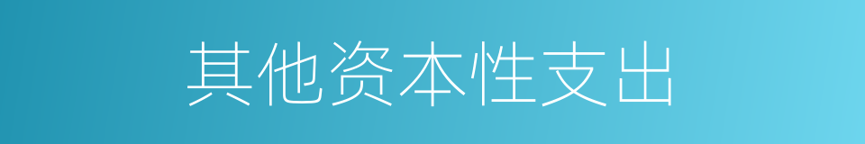 其他资本性支出的同义词