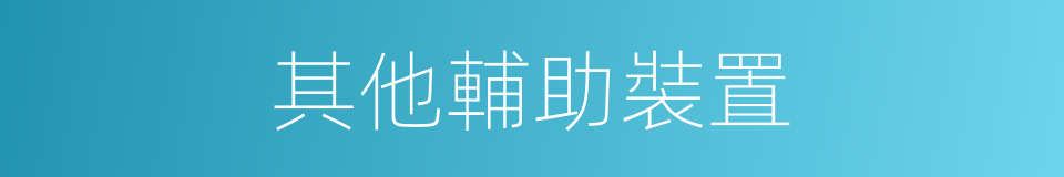 其他輔助裝置的同義詞