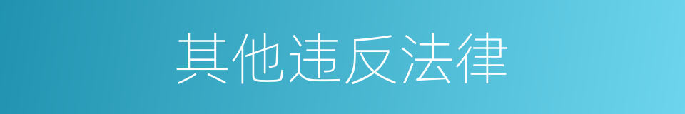 其他违反法律的同义词