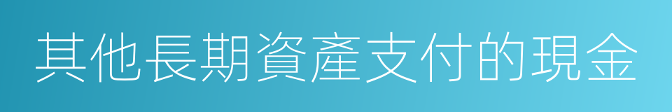 其他長期資產支付的現金的同義詞