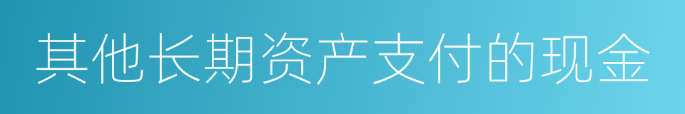 其他长期资产支付的现金的同义词