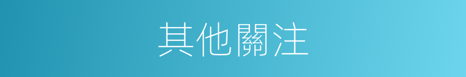 其他關注的同義詞