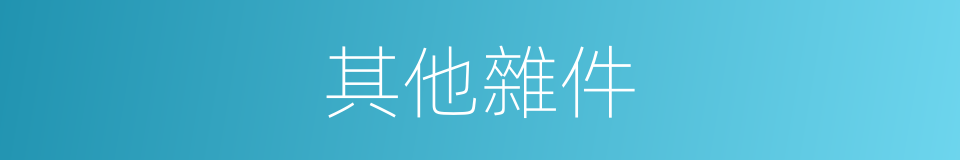 其他雜件的同義詞