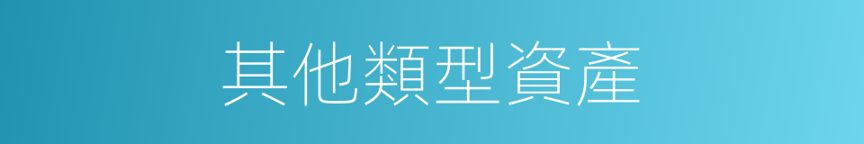 其他類型資產的同義詞