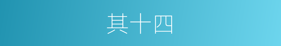 其十四的同义词