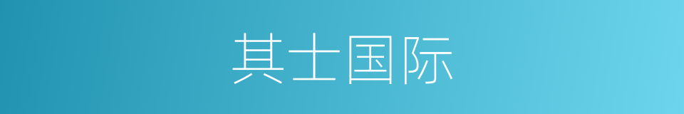 其士国际的同义词