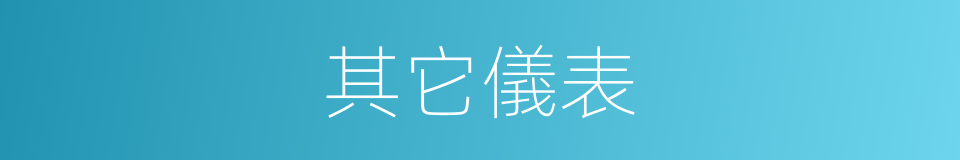 其它儀表的同義詞