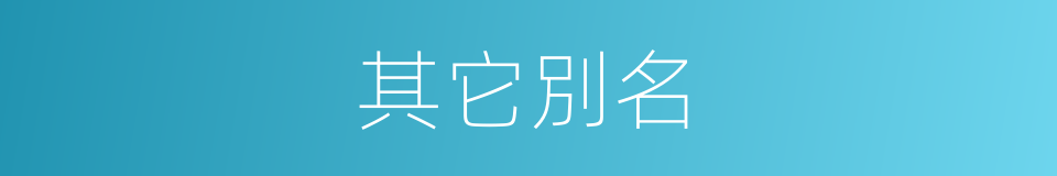 其它別名的同義詞