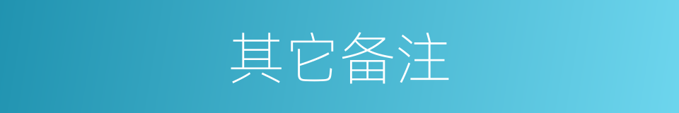 其它备注的同义词