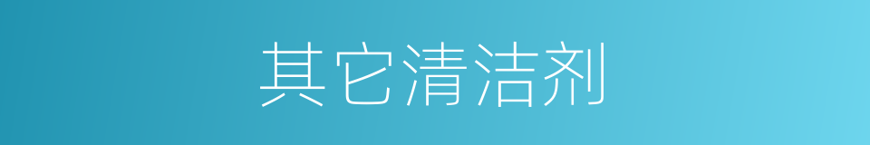 其它清洁剂的同义词