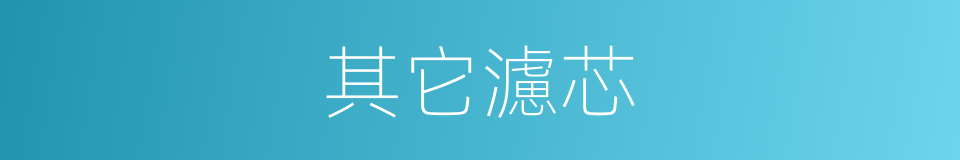 其它濾芯的同義詞