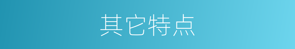 其它特点的同义词