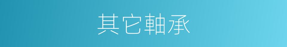 其它軸承的同義詞