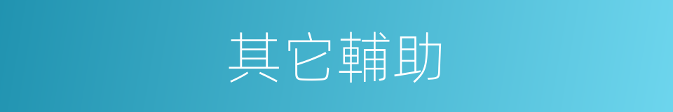 其它輔助的同義詞