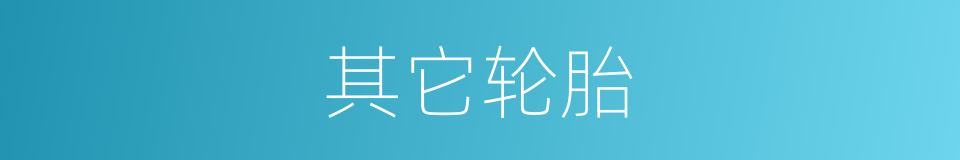 其它轮胎的同义词