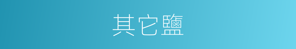 其它鹽的同義詞