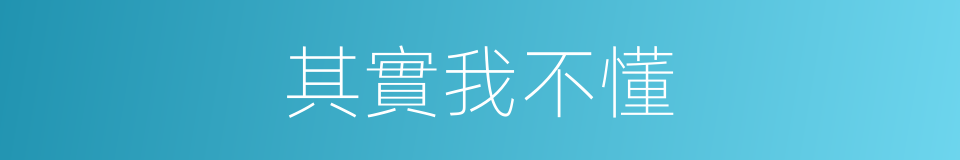 其實我不懂的同義詞