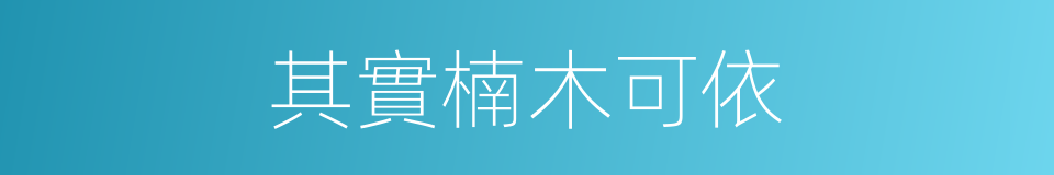 其實楠木可依的同義詞