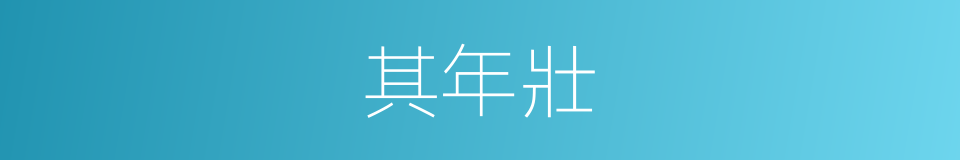 其年壯的同義詞