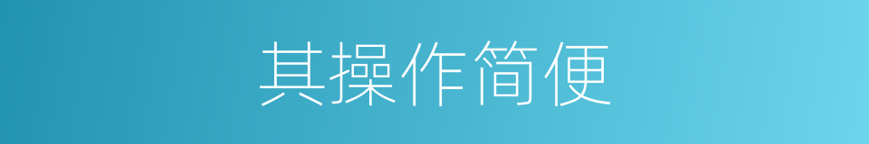 其操作简便的同义词