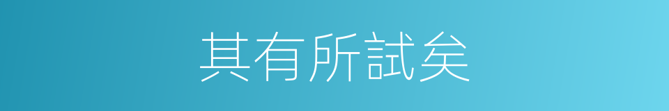 其有所試矣的同義詞