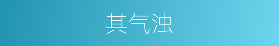 其气浊的同义词